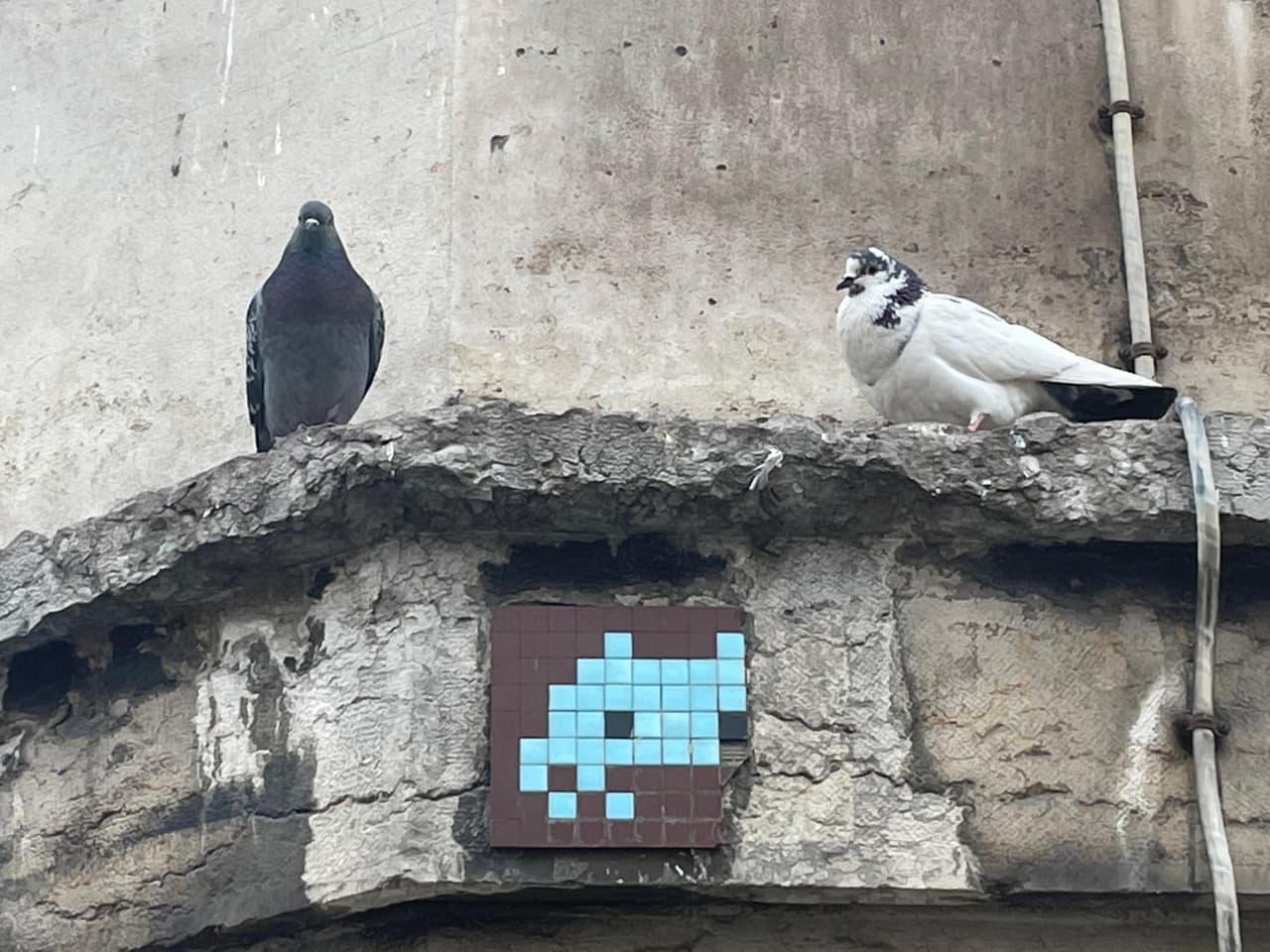Space Invader PA_04 — photo 2